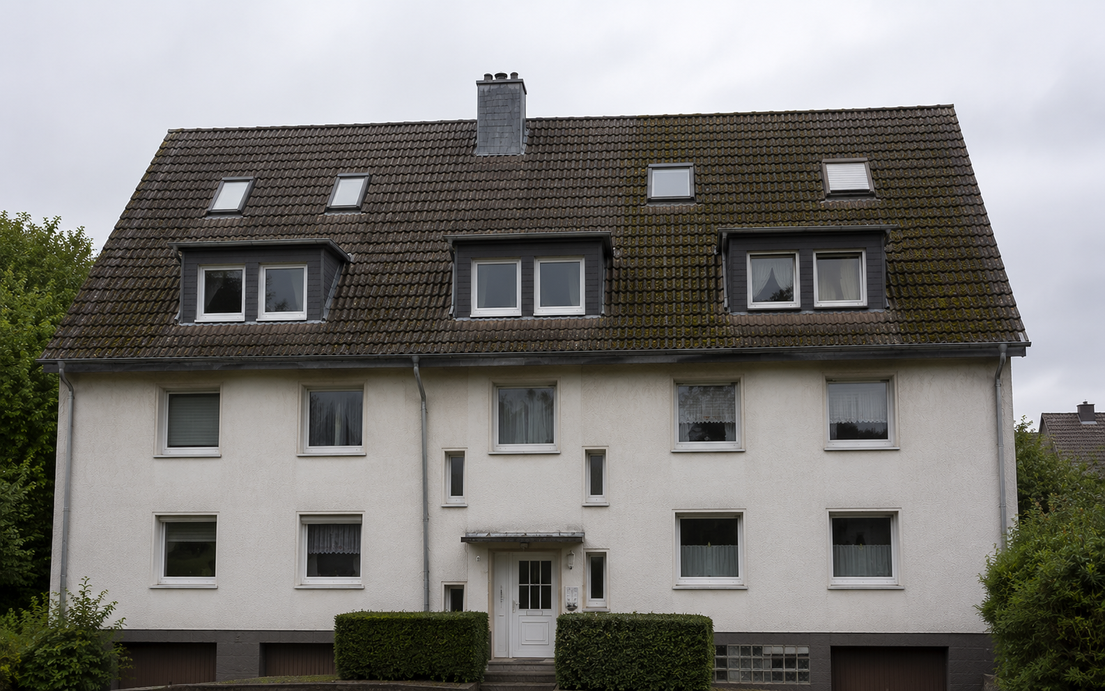 Dach vor Dachreinigung – Moos und Algenbefall