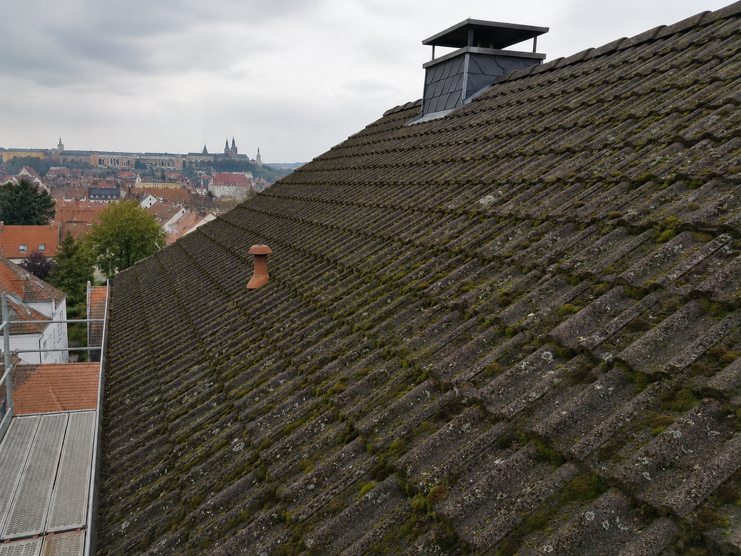 Mittlerer Moosbefall – Stufe 2 Dachreinigung und Moosentfernung Anklam