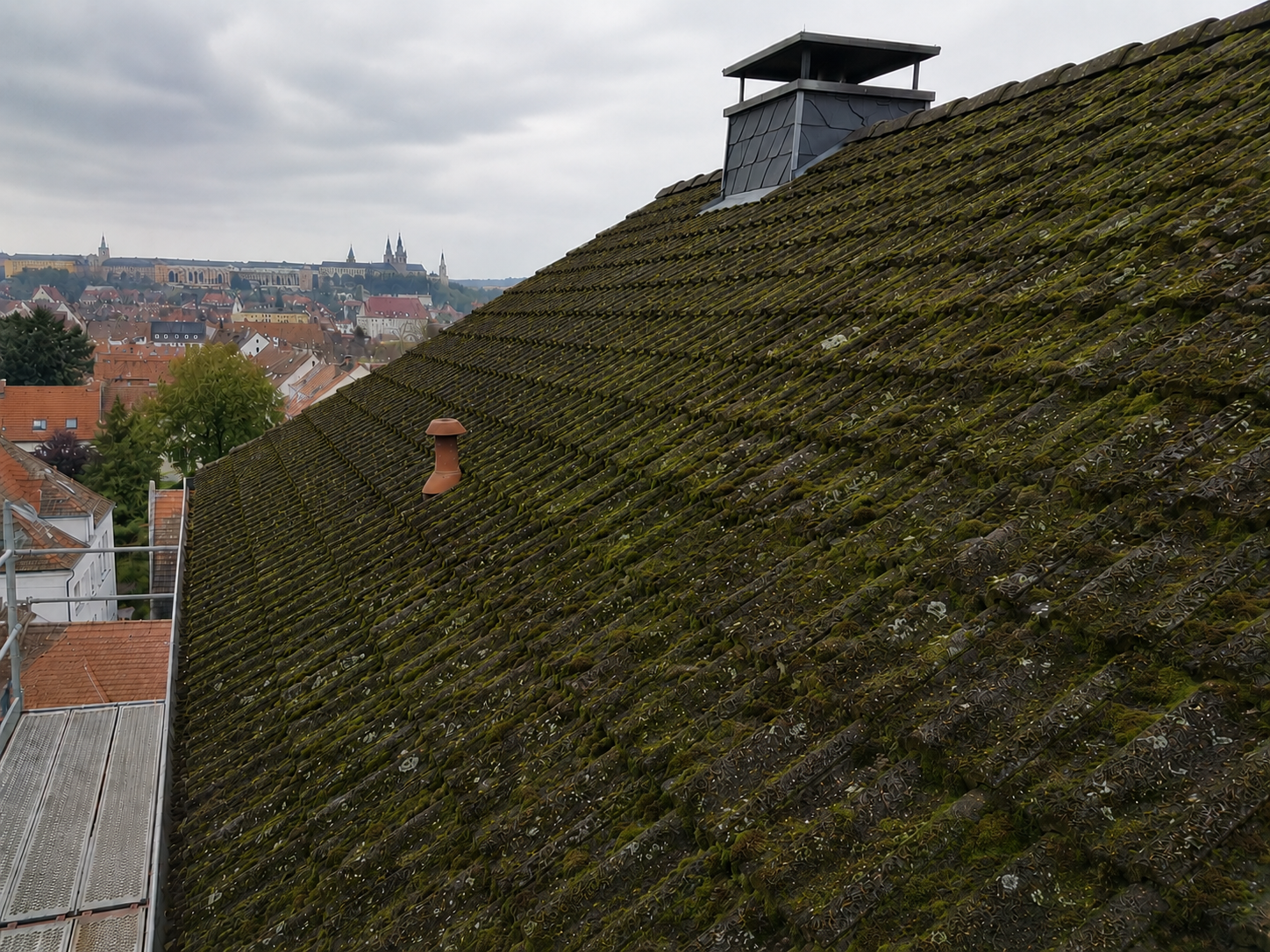 Starker Moosbefall Anklam – Stufe 3 – dringende Dachreinigung erforderlich